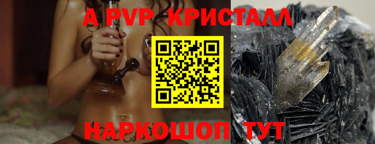 A PVP СК Сыктывкар