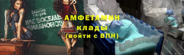 шишки Алзамай