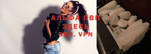 твердый Аркадак
