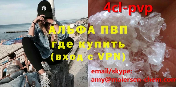 твердый Аркадак