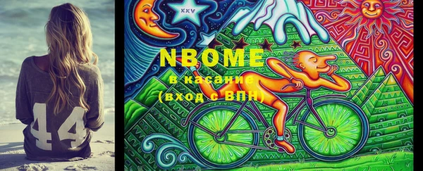 шишки Алзамай