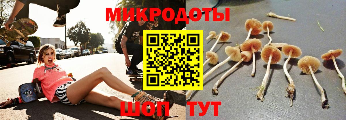Галлюциногенные грибы MAGIC MUSHROOMS Сыктывкар